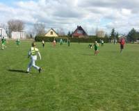 Golas 2015