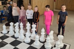 Judrieji šachmatai