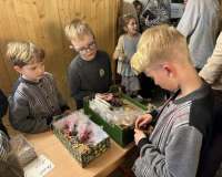 Paveikslelis4